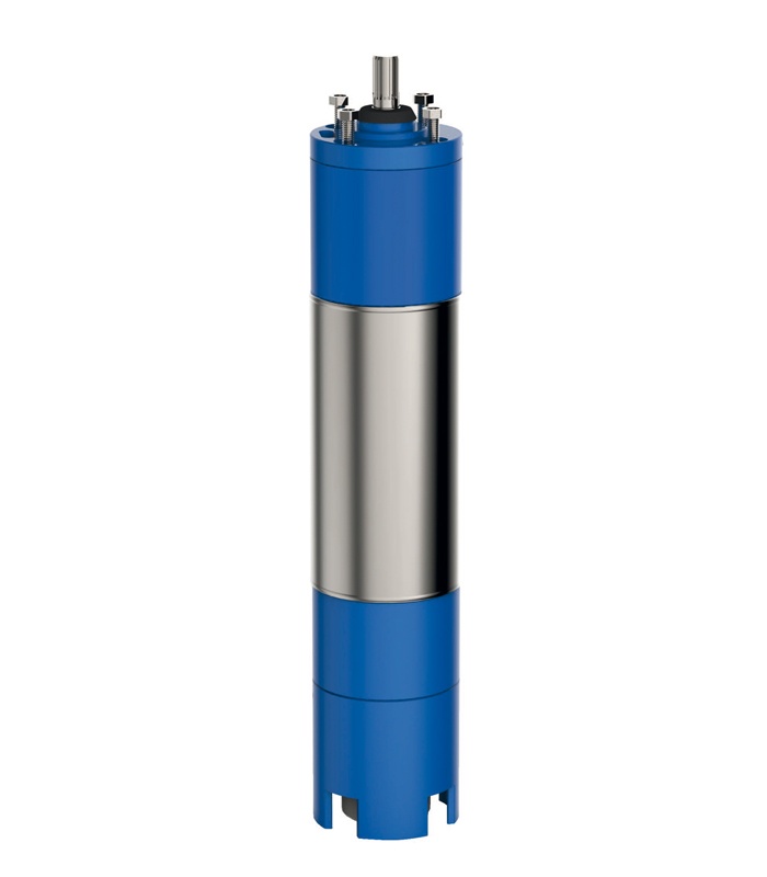 Moteur de pompe de forage 6 à 10" Panelli Moteur de forage et d'irrigation NEMA 6" - NEMA 8"